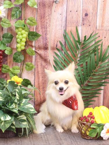 20230827ふうちゃん